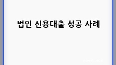 법인 사업자 신용대출 완벽 가이드